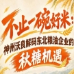 以优质米粮为核心 神州沃良解锁东北粮油秋糖商业新机遇